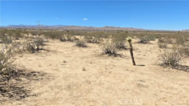 4102 Pine (jackrabbit) Lane, Landers, CA 92285 - Image #3