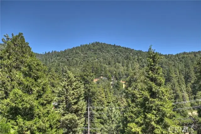 489 Dorn, Crestline, CA 92325 - Image #3