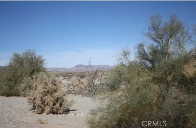 0 Street, Big River, CA 92242 - #2