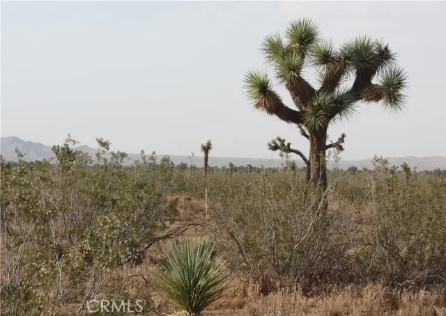 0 3129-171-06-0000 Caughlin Road, Adelanto, CA 92301 - #1