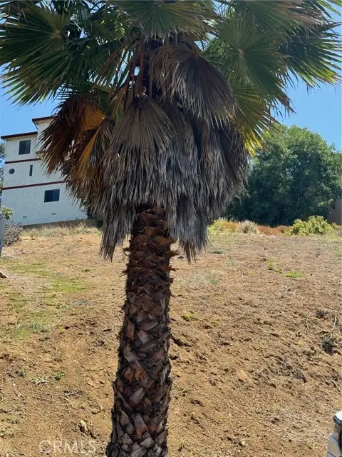 3713 Aguilar Street, Los Angeles, CA 90065 - Image #3