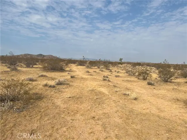 338 Stable Road, Landers, CA 92285 - Image #1
