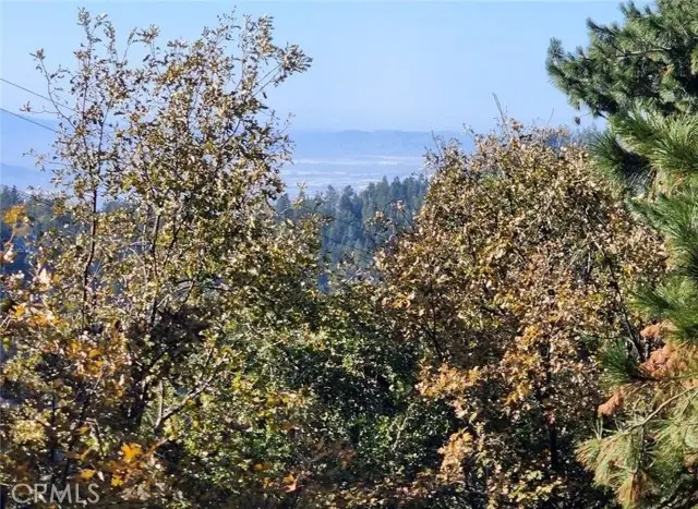 900 Lo Lane, Twin Peaks, CA 92391 - Image #3