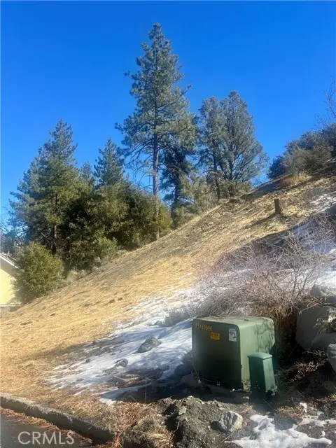 5411 Shirley J Lane, Wrightwood, CA 92397 - Image #3