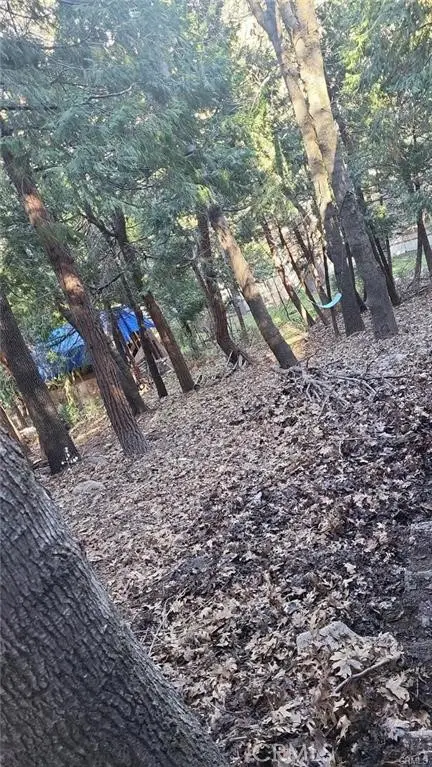 0 Bowl Road, Crestline, CA 92325 - Image #2