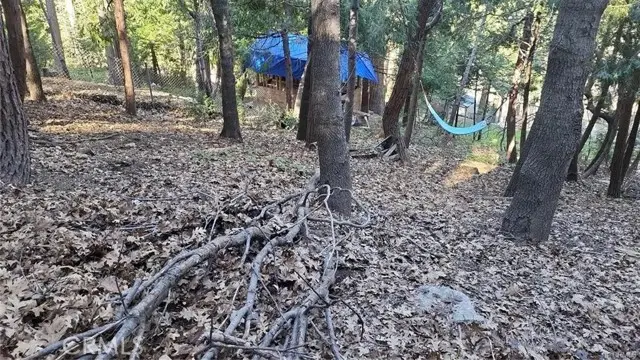 0 Bowl Road, Crestline, CA 92325 - Image #3