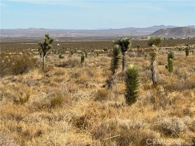 8 Fort Tejon Road, Llano, CA 93544 - Image #3