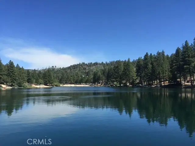 33010 Juniper Lane, Green Valley Lake, CA 92341 - Image #3