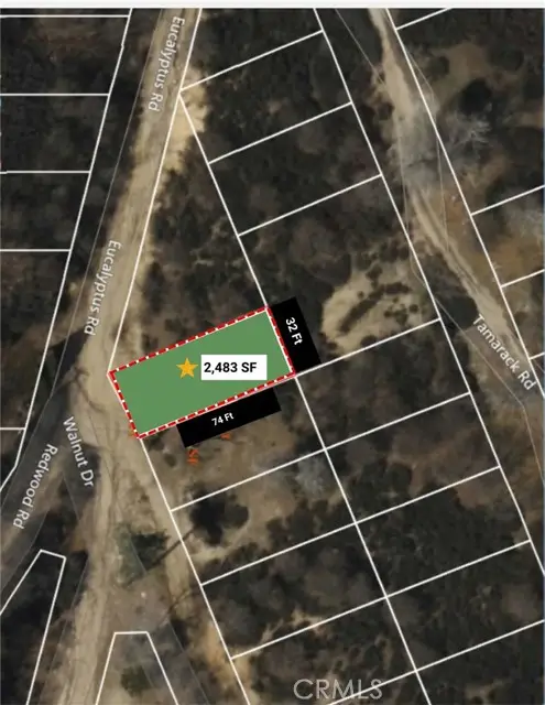 0 Walnut, Cedar Glen, CA 92321