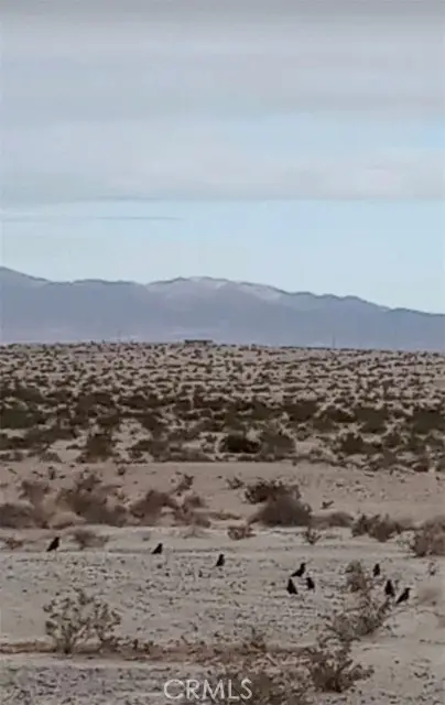 0 Jojoba Drive, Twentynine Palms, CA 92277 - Image #1