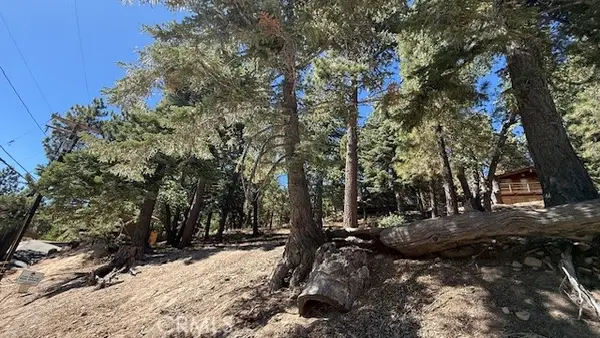 33112 Juniper Lane, Green Valley Lake, CA 92341