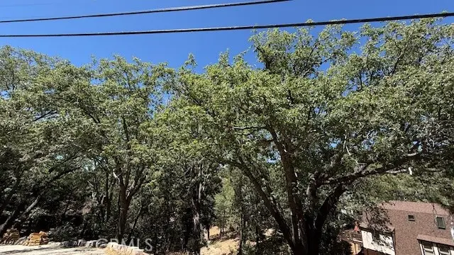 736 Dahlia Drive, Green Valley Lake, CA 92341 - Image #1