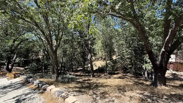 736 Dahlia Drive, Green Valley Lake, CA 92341 - Image #3