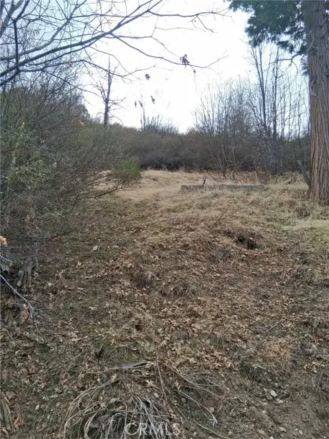 0 Pine Drive, Cedar Glen, CA 92321 - #1