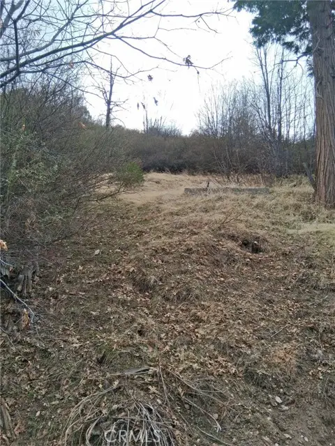 0 Pine Drive, Cedar Glen, CA 92321