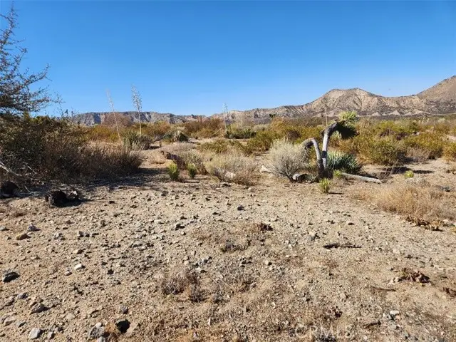 #3