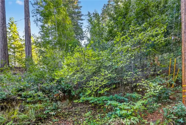 11480 Terrace Drive, Forestville, CA 95436