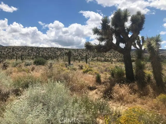 0 Vac/pearblossom Pav /vic 160 S, Llano, CA 93591 - Image #1