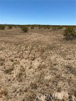 900 Fetlock Road, Landers, CA 92285 - Image #2