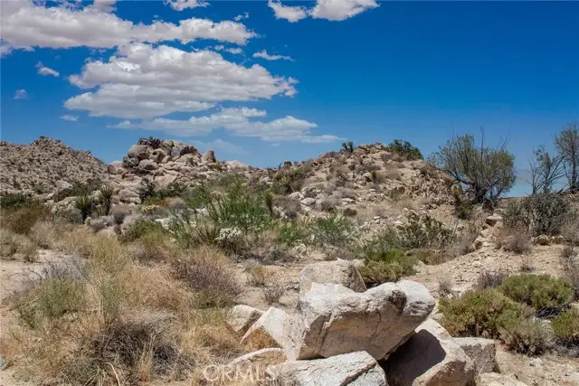 60300 Mountain Trail, Joshua Tree, CA 92252 - Image #3