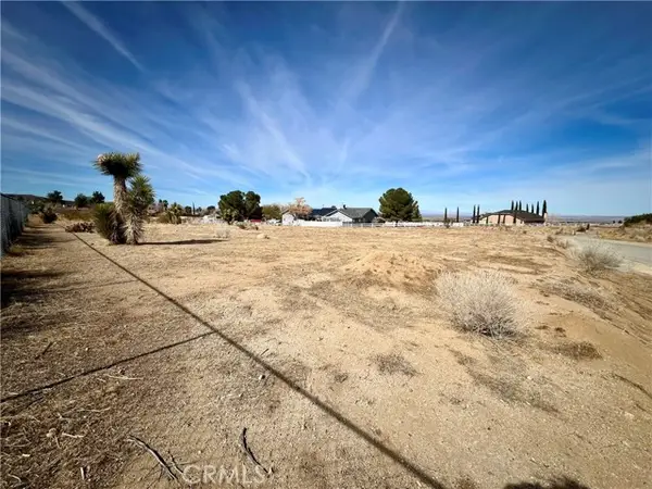 0 163 Ste Vic Burning Tree Street, Llano, CA 93544