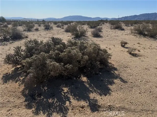 3492 Meldora Avenue, Twentynine Palms, CA 92277 - Image #3