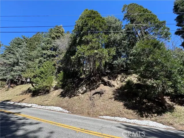 0 North Road, Twin Peaks, CA 92391 - Image #2