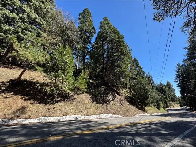 0 North Road, Twin Peaks, CA 92391 - Image #3