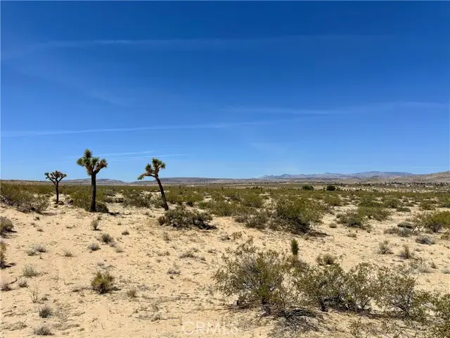 0 Amargo Road, Landers, CA 92285 - Image #1