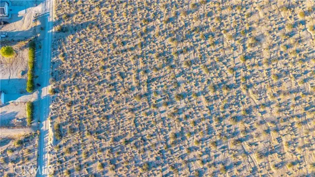 6667 Peterson Road, Twentynine Palms, CA 92277 - #3