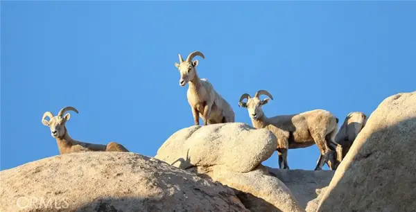 66075 Foothill, Joshua Tree, CA 92252