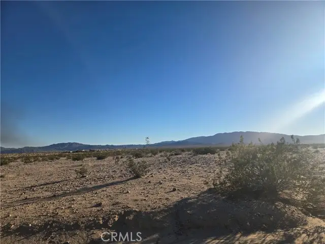 1234 Amboy Road, Twentynine Palms, CA 92277 - #2