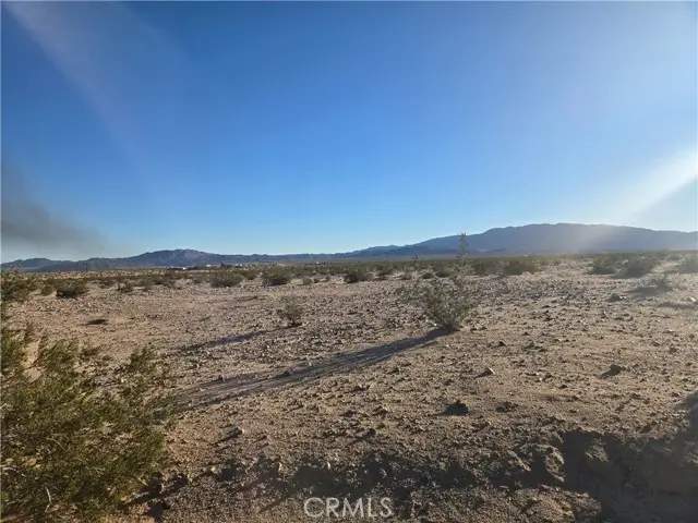 1234 Amboy Road, Twentynine Palms, CA 92277 - #3