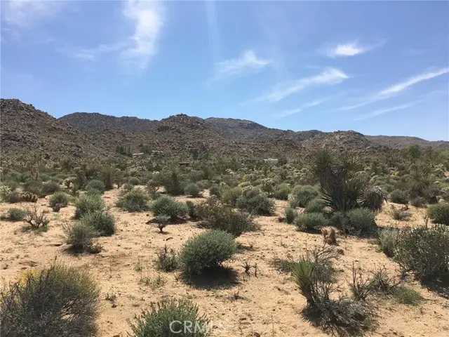 0 Sandalwood, Joshua Tree, CA 92252 - #2