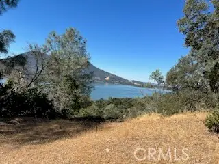 #3