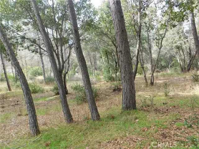 5834 Spruce Avenue, Clearlake, CA 95422 - Image #2