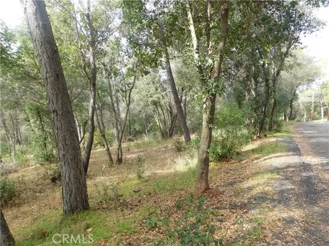 5834 Spruce Avenue, Clearlake, CA 95422 - Image #3