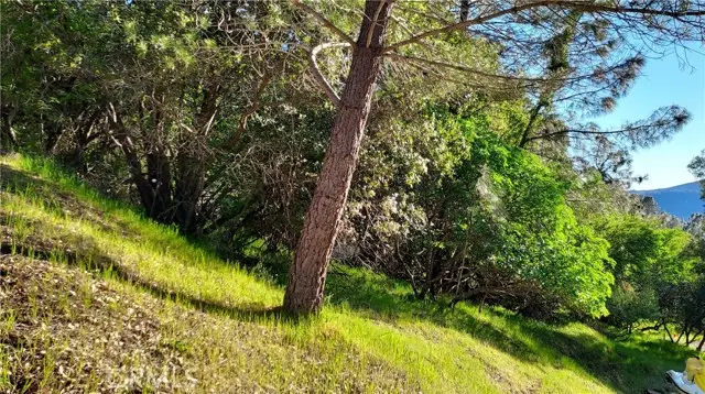 2891 San Joaquin Avenue, Clearlake, CA 95424 - Image #2