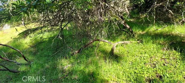 2891 San Joaquin Avenue, Clearlake, CA 95424 - Image #3