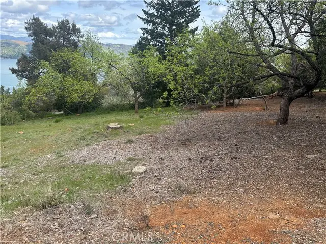 3680 Greenwood Drive, Kelseyville, CA 95451 - Image #3