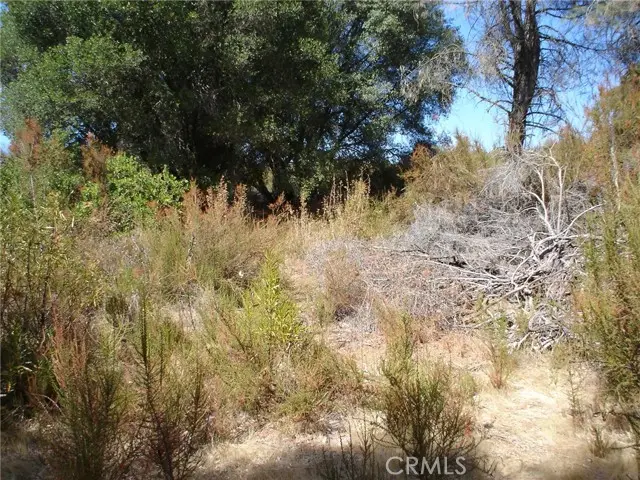 16344 4th Avenue, Clearlake, CA 95422 - Image #2