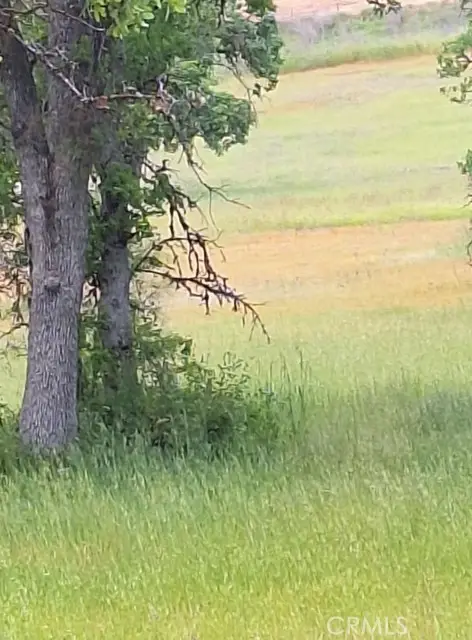 3397 Oleander Street, Clearlake, CA 95422