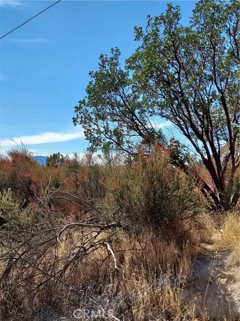 16301 11th Avenue, Clearlake, CA 95422