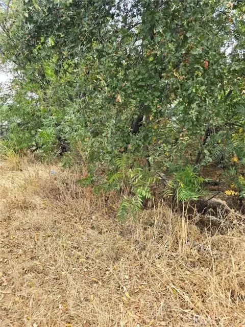 1466 Hammonton Smartsville Road, Linda, CA 95901 - #2