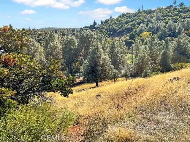 10203 El Capitan, Kelseyville, CA 95451 - #3