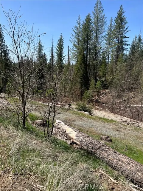 6493 Greeley Hill Road, Coulterville, CA 95311 - Image #3