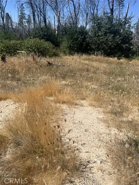 130 Simpson Ranch Road, Berry Creek, CA 95916 - #1