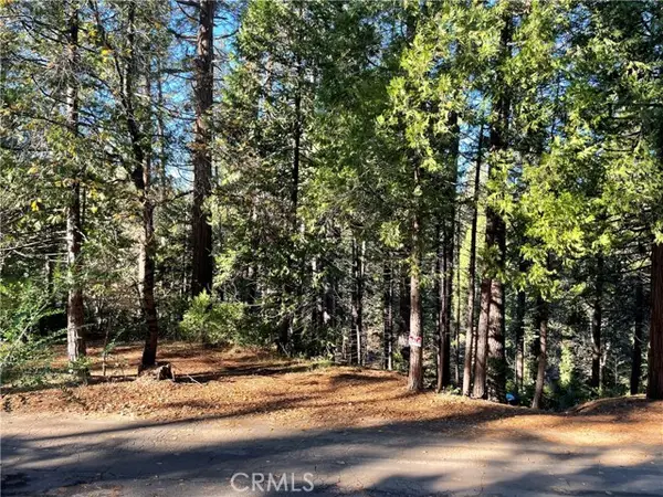 22447 Ponderosa Dr, Twain Harte, CA 95383