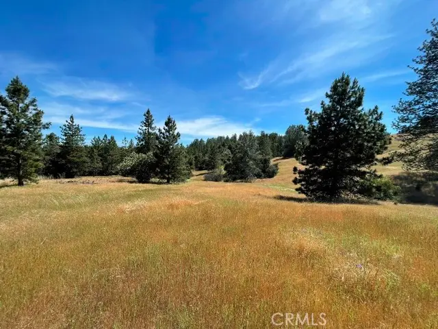 0 Triangle Road, Mariposa, CA 95338 - Image #3