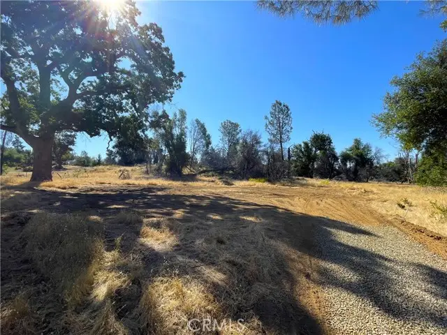 705 Triangle Road, Mariposa, CA 95338 - Image #1